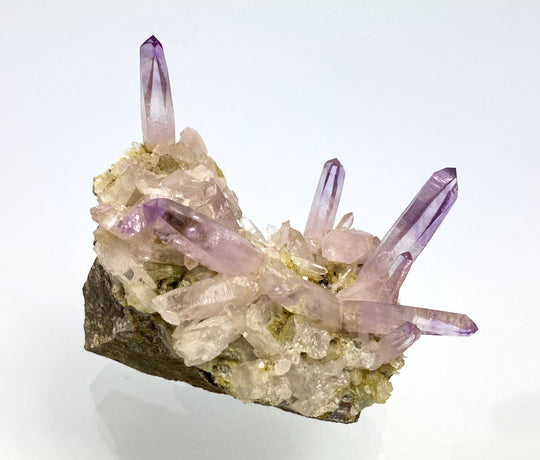 Amethyst, Las Vigas, Veracruz, Mexiko