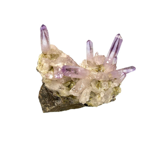 Amethyst, Las Vigas, Veracruz, Mexiko