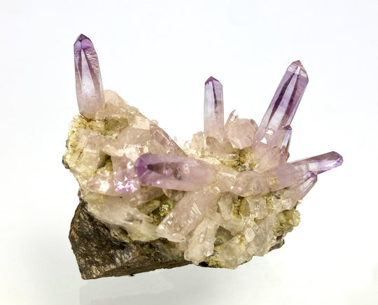 Amethyst, Las Vigas, Veracruz, Mexiko