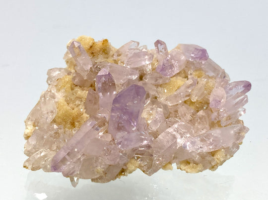 Amethyst, Las Vigas, Veracruz, Mexiko