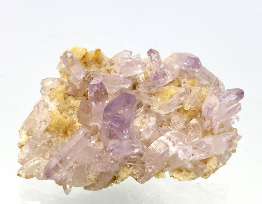 Amethyst, Las Vigas, Veracruz, Mexiko