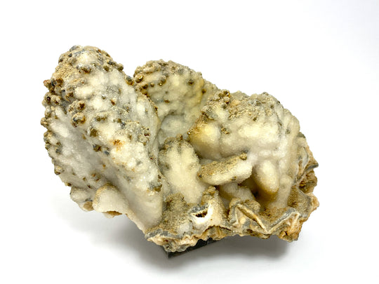 Calcit-Dolomit-Pseudomorphose, Cavnic, Maramures, Rumänien