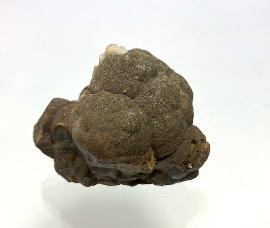 Calcite on shell blende (sphalerite), Bleiberg, Carinthia, Austria