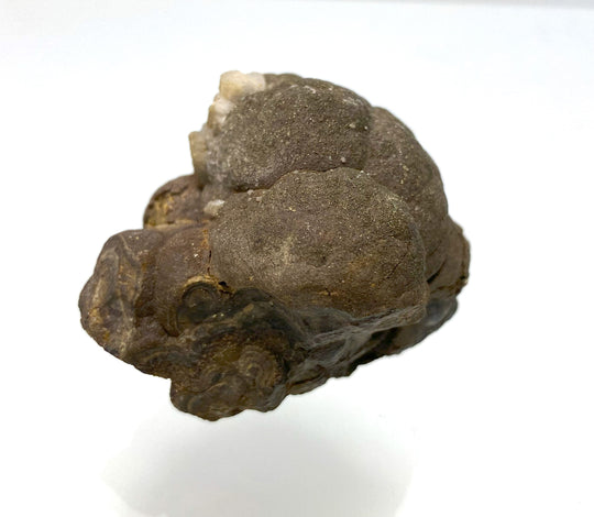 Calcite on shell blende (sphalerite), Bleiberg, Carinthia, Austria