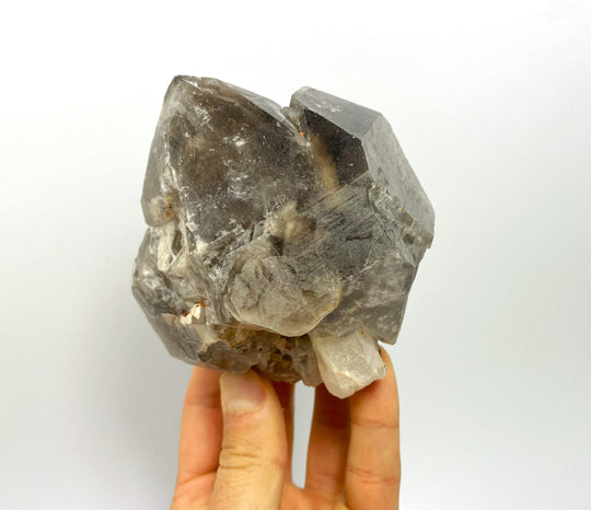Scepter smoky quartz, Goboboseb Mountains, Brandberg, Namibia