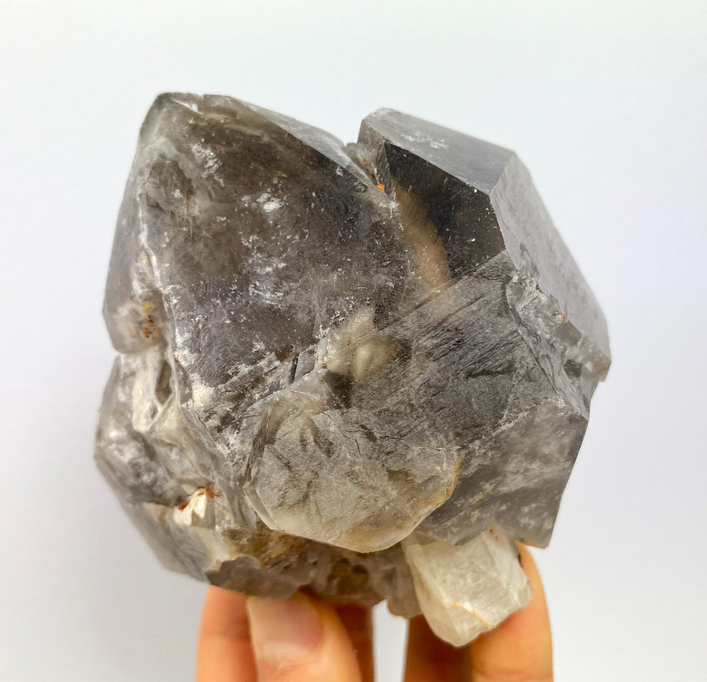 Zepter-Rauchquarz, Goboboseb Gebirge, Brandberg, Namibia