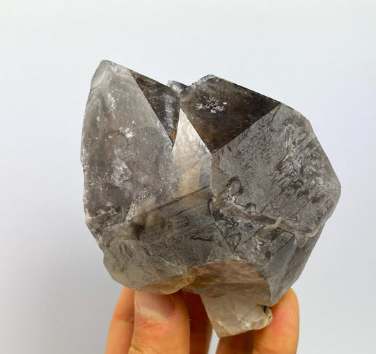 Scepter smoky quartz, Goboboseb Mountains, Brandberg, Namibia