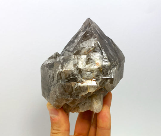 Scepter smoky quartz, Goboboseb Mountains, Brandberg, Namibia