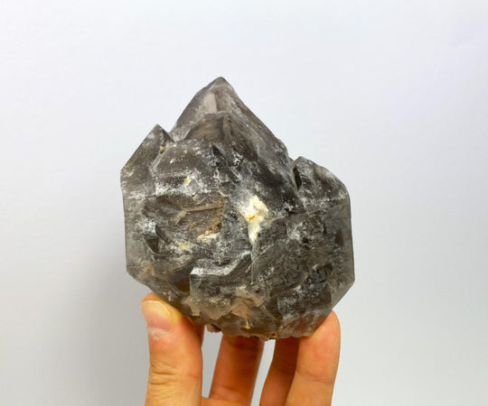 Scepter smoky quartz, Goboboseb Mountains, Brandberg, Namibia