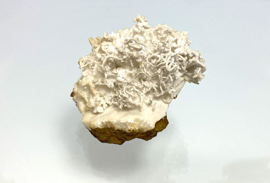 Eisenblüte, Aragonit, (flos ferri), Erzberg, Eisenerz, Österreich