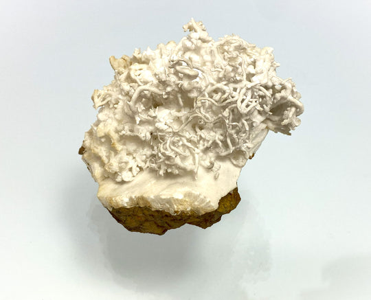 Eisenblüte, Aragonit, (flos ferri), Erzberg, Eisenerz, Österreich