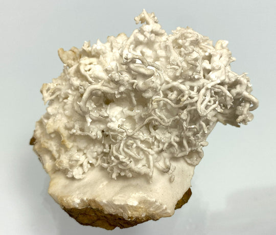 Eisenblüte, Aragonit, (flos ferri), Erzberg, Eisenerz, Österreich