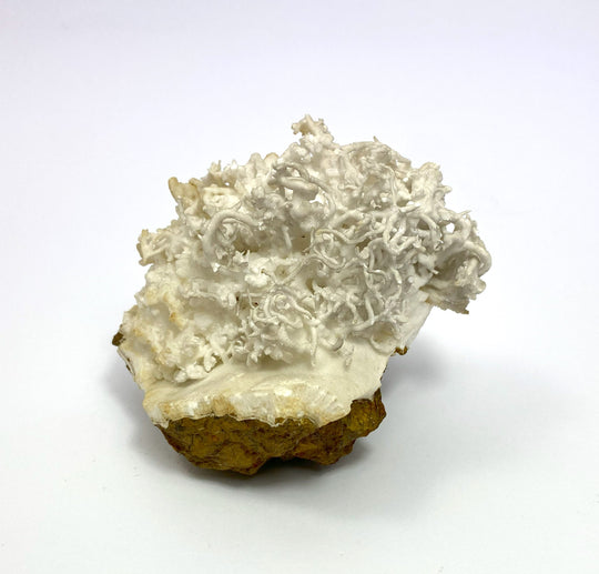 Eisenblüte, Aragonit, (flos ferri), Erzberg, Eisenerz, Österreich