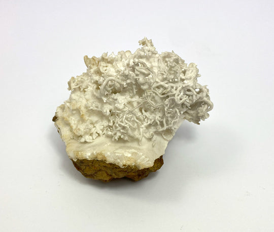 Eisenblüte, Aragonit, (flos ferri), Erzberg, Eisenerz, Österreich