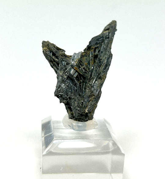 Stibnit (antimonit), Giant Yellowknife Mine, Northwest Territories, Canada