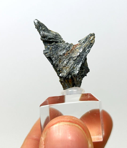 Stibnit (antimonit), Giant Yellowknife Mine, Northwest Territories, Canada
