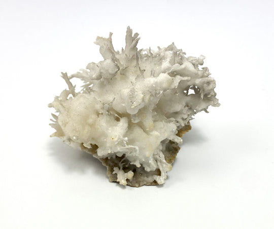 Iron blossom (Flos ferri), Erzberg, Eisenerz, Austria