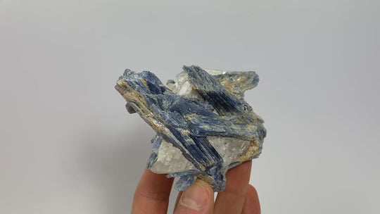 Cyanit (Disthen), Barra Do Salinas, Minas Gerais, Brasilien