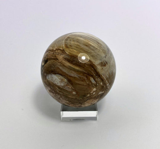 Steinkugel Fossiles Holz