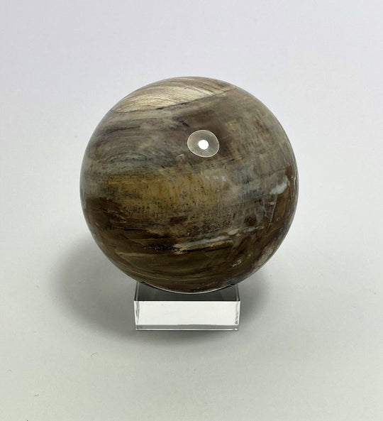 Steinkugel Fossiles Holz