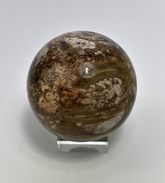 Steinkugel Fossiles Holz
