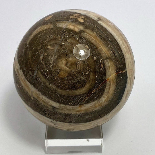 Steinkugel Aktionella