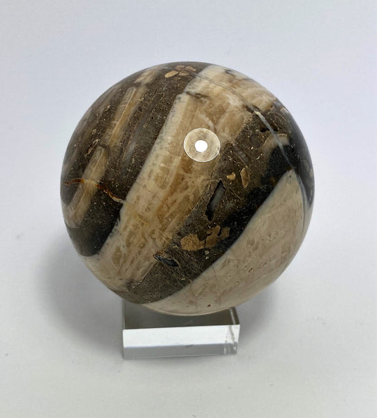 Steinkugel Aktionella