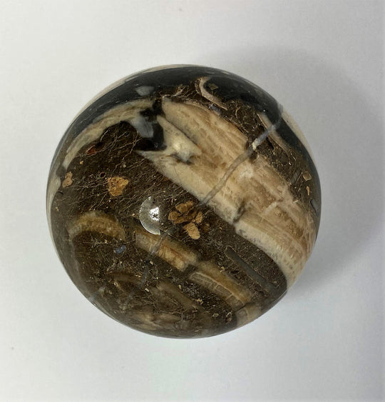 Steinkugel Aktionella