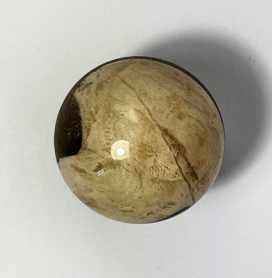 Steinkugel Aktionella
