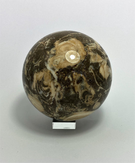Steinkugel Fossile Schnecke