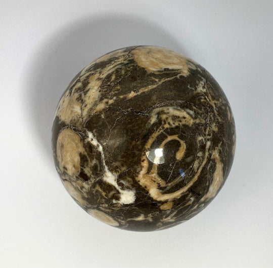 Steinkugel Fossile Schnecke