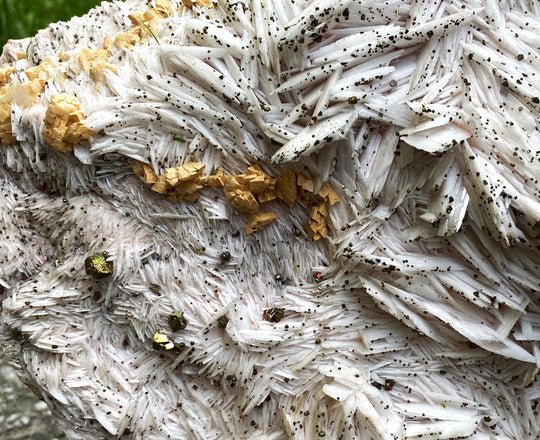 Baryt, Calcopyrit, Dolomit, Deutschland