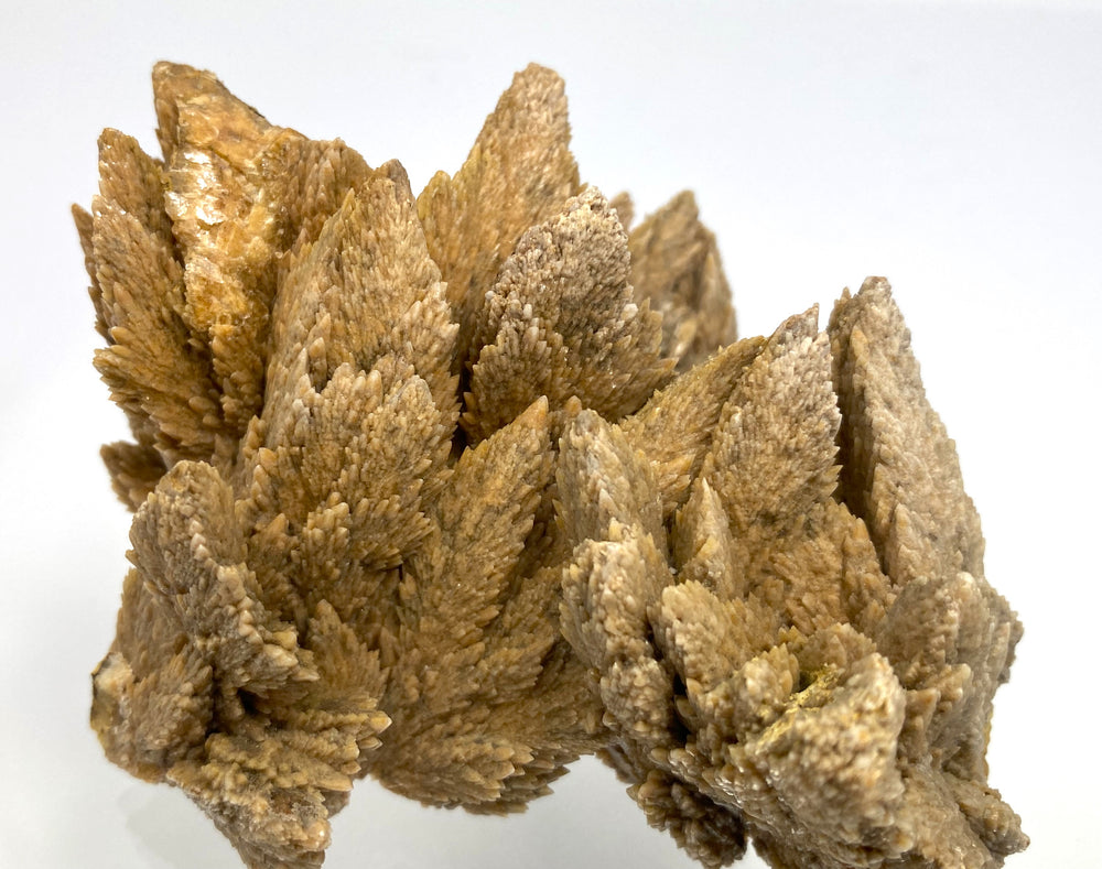 Spring calcite, Oberzeiring, Styria, Austria