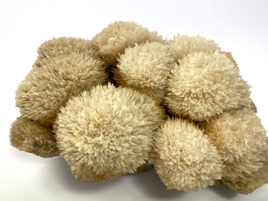 Needle aragonite, Erzberg, Eisenerz, Stmk., Austria