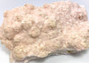 Rhodochrosit, Cavnic, Maramures, Rumänien
