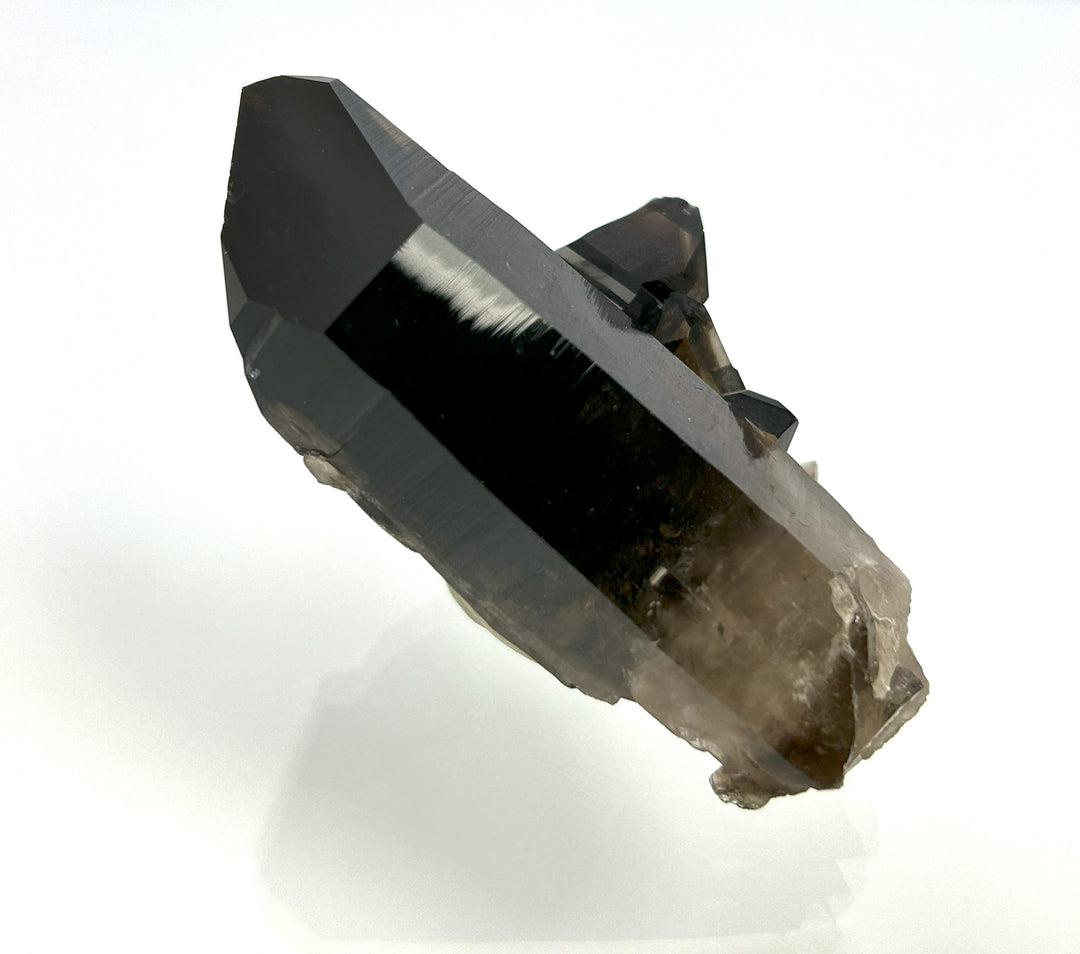 Morion (bestrahlt), Mount Ida, Montgomery Co., Arkansas, USA