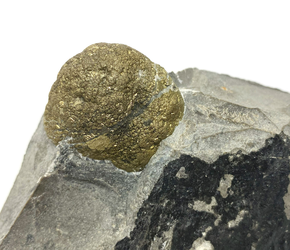 Pyrite, Rhomberg quarry, Hohenems, Dornbirn, Vorarlberg, Austria
