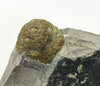 Pyrite, Rhomberg quarry, Hohenems, Dornbirn, Vorarlberg, Austria