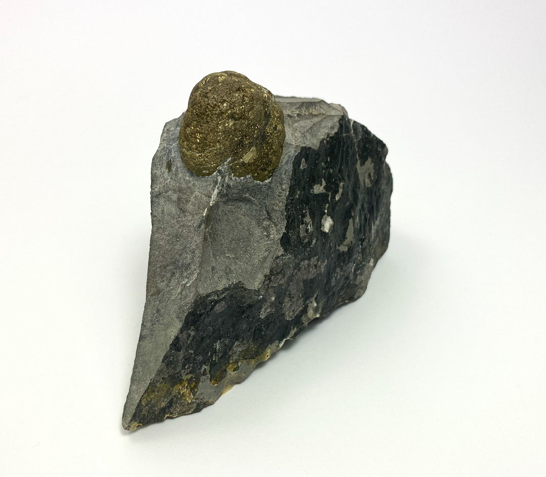 Pyrite, Rhomberg quarry, Hohenems, Dornbirn, Vorarlberg, Austria