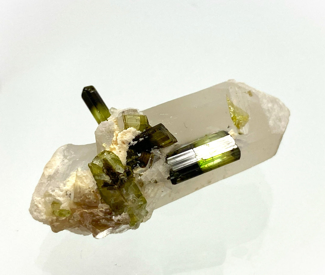 Elbaite (Tourmaline) on Clear Quartz, Albite, Stak Nala, Haramosh Mtns., Pakistan