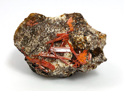 Krokoit, Adelaide Mine, Dundas, Tasmanien, Australien