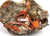Krokoit, Adelaide Mine, Dundas, Tasmanien, Australien