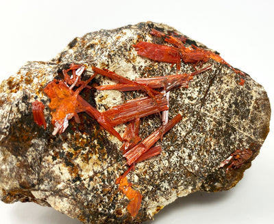 Krokoit, Adelaide Mine, Dundas, Tasmanien, Australien