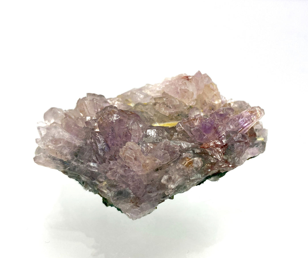 Amethyst flower, Iraí, Rio Grande do Sul, Brasilien