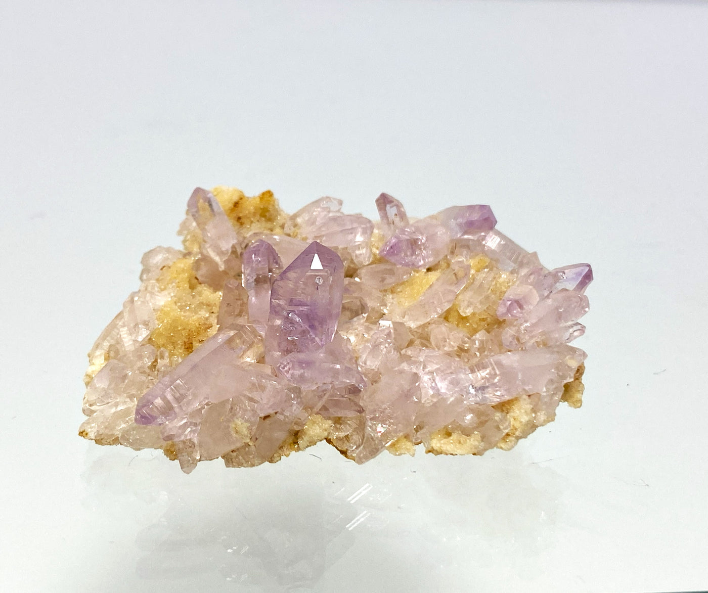 Amethyst, Las Vigas, Veracruz, Mexiko