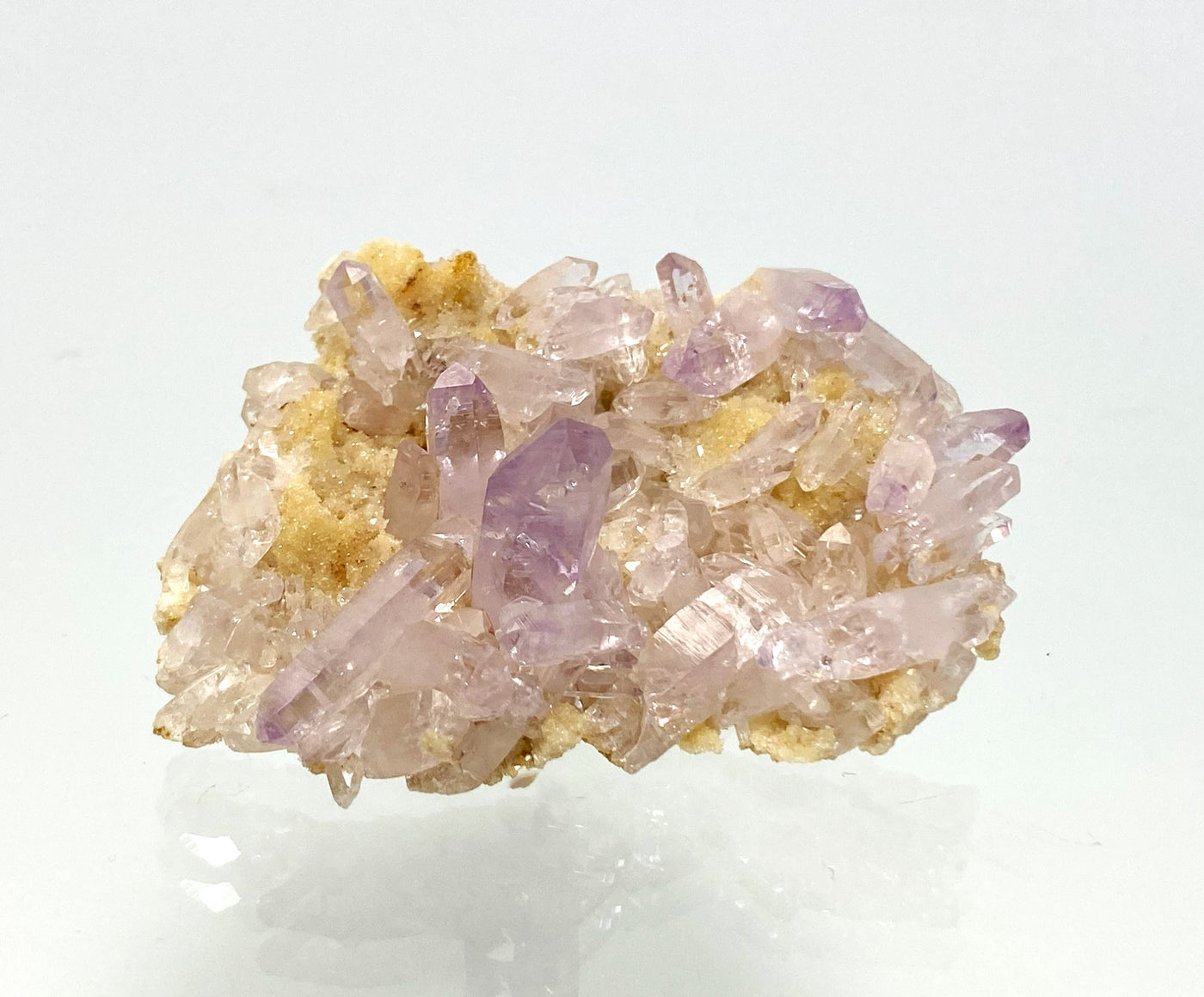 Amethyst, Las Vigas, Veracruz, Mexiko