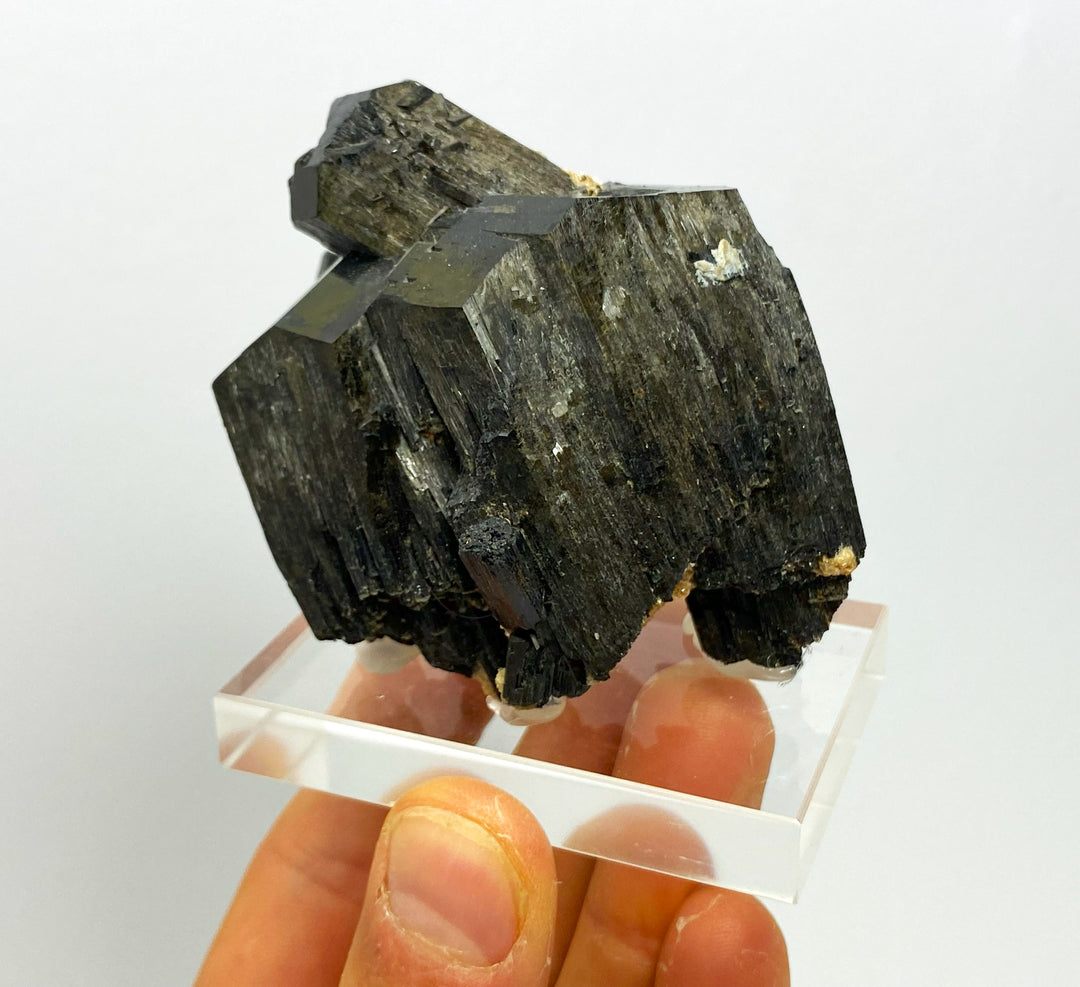 Schörl (tourmaline), muscovite, Davib Ost, Erongo, Namibia