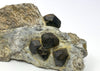 Almandine, (Garnet) Donnersbachwald, Styria, Austria