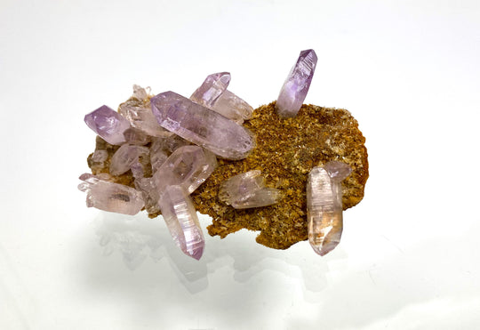 Amethyst, Las Vigas, Veracruz, Mexiko