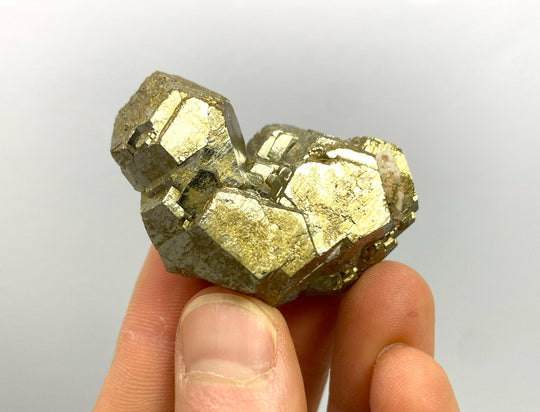 Pyrite, Boccheggiano, Montieri, Grosseto, Tuscany, Italy